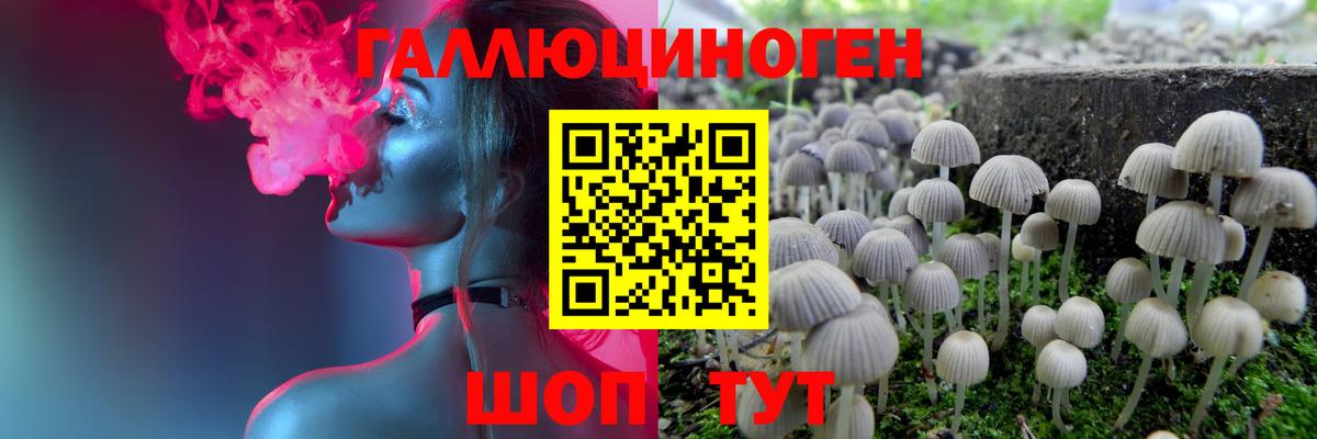 Галлюциногенные грибы Magic Shrooms  Вход с VPN  Галлюциногенные грибы Cubensis  сколько стоит  Асино 